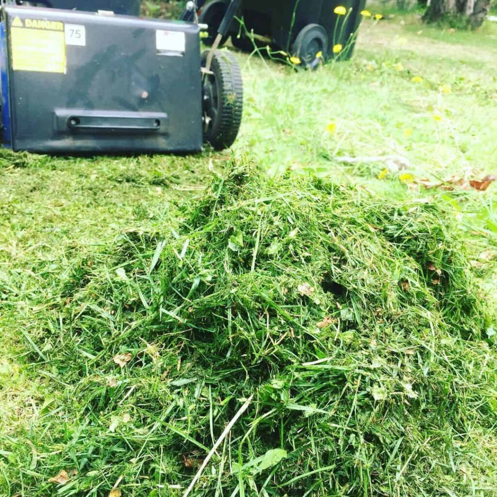 grass clippings on lawn