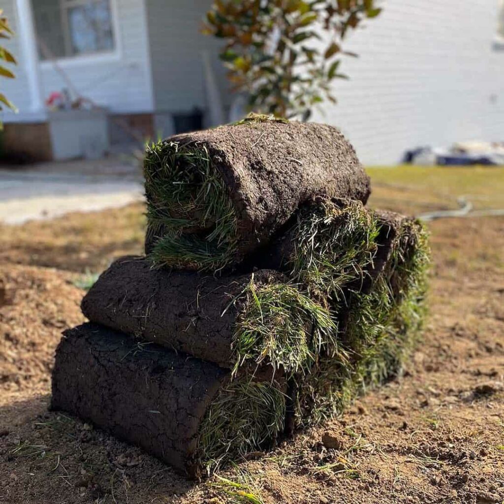 Lawn Care in March: Can You Mow, Feed or Scarify? (Where to Start) 3 lay turf in march