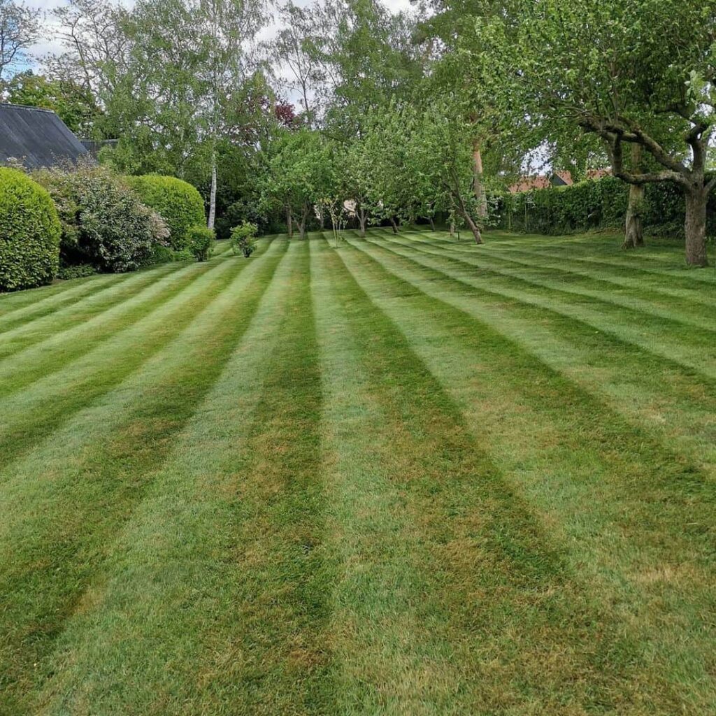 Lawn Care in March: Can You Mow, Feed or Scarify? (Where to Start) 2 mowing the lawn in march