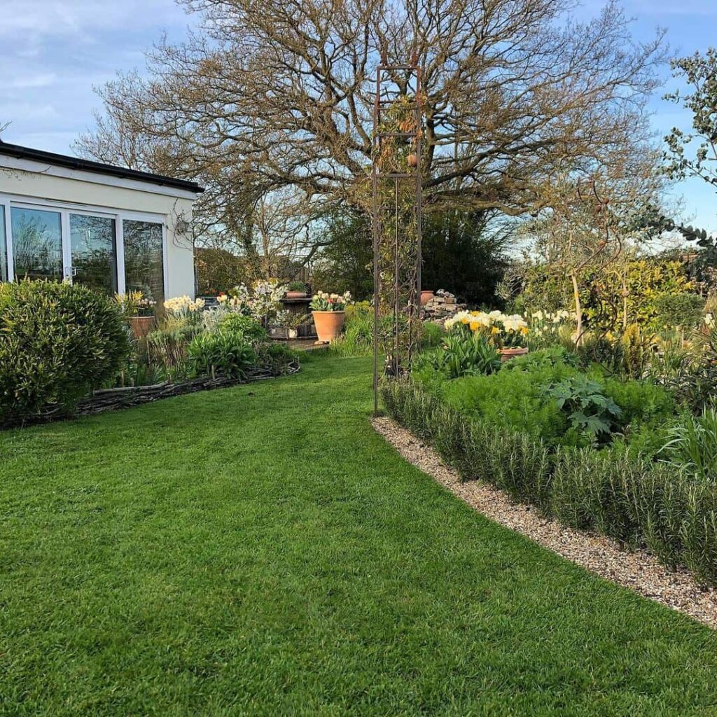 Lawn Care in March: Can You Mow, Feed or Scarify? (Where to Start) 6 repair and renovate the lawn in march