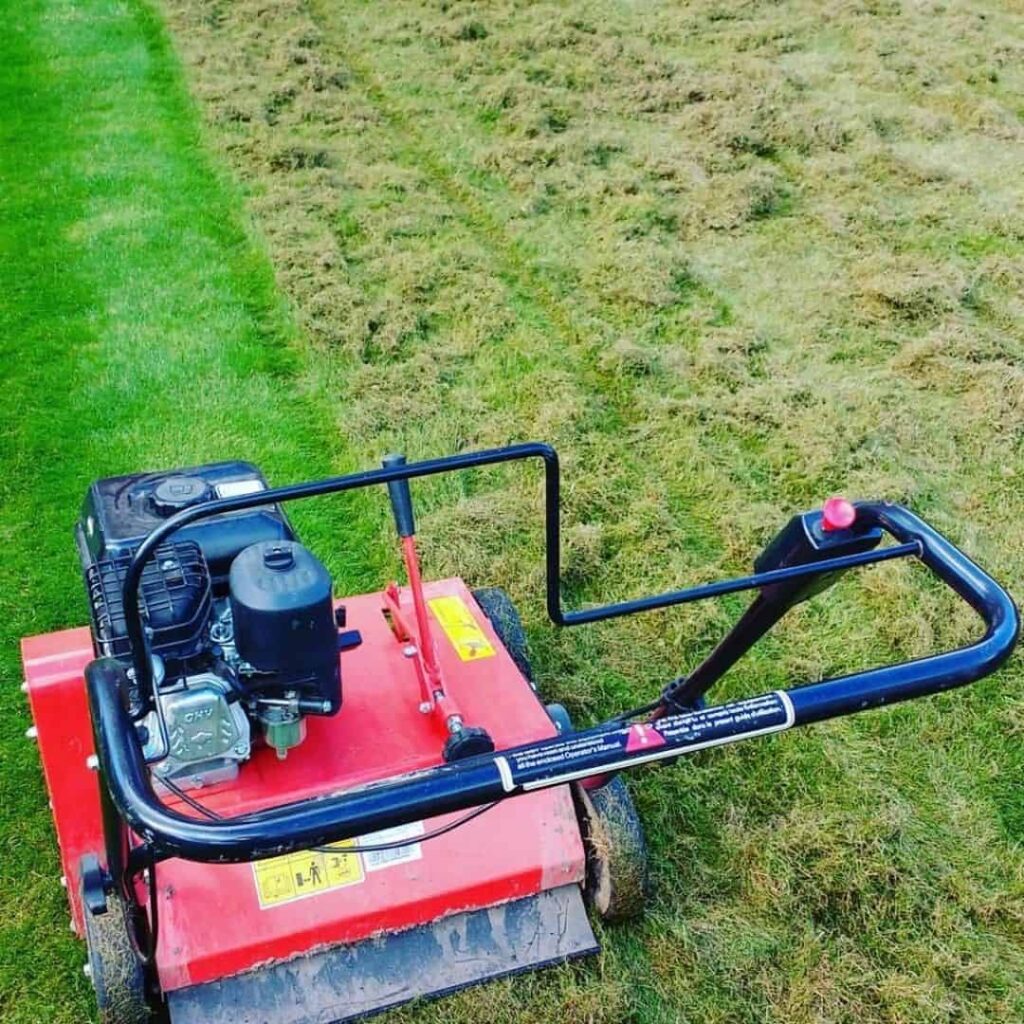 scarifying lawn in october