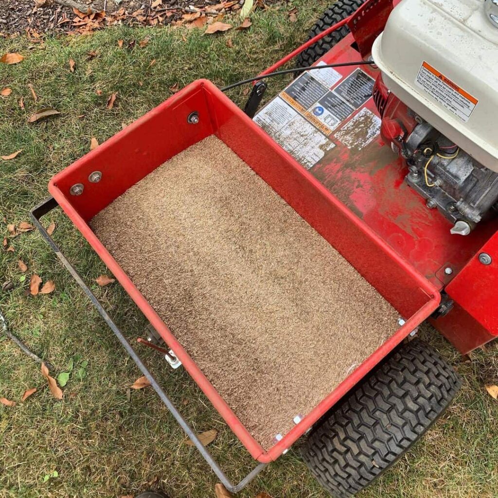 seed dispenser overseeding