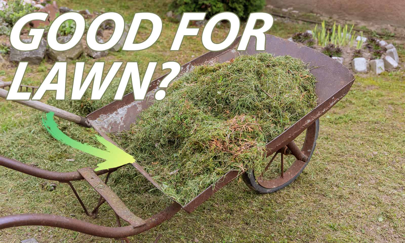 should you leave grass clippings on lawn