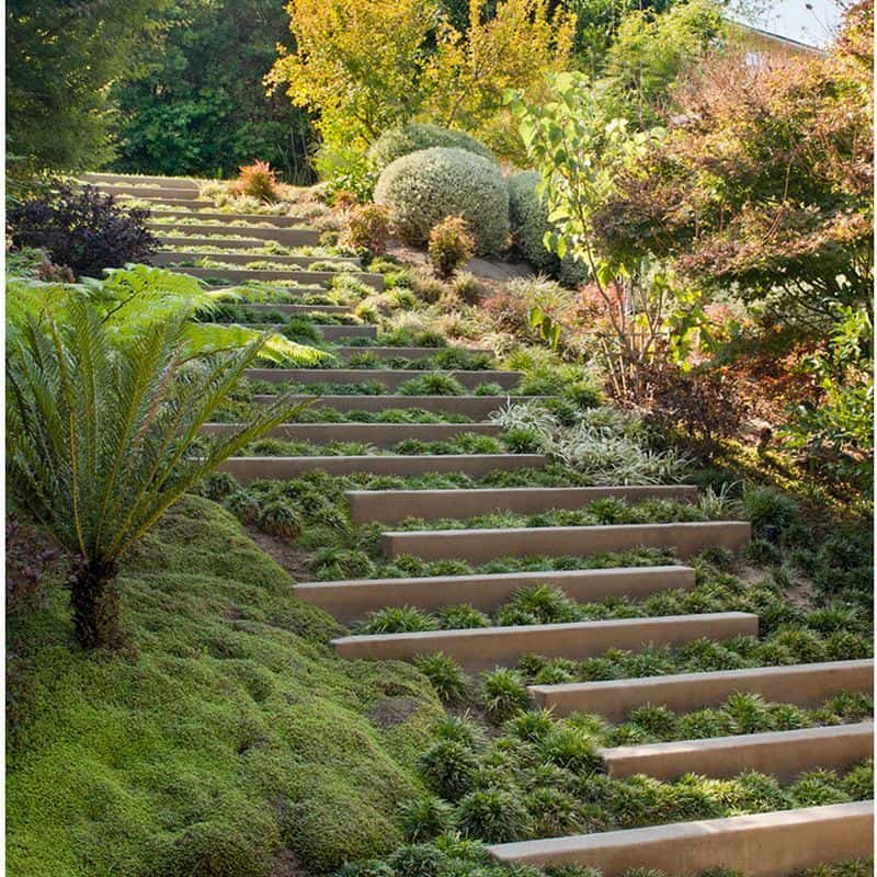 Sloped Garden Ideas: 15 Ways to Work With a Gradient in Your Garden 14 stepped garden