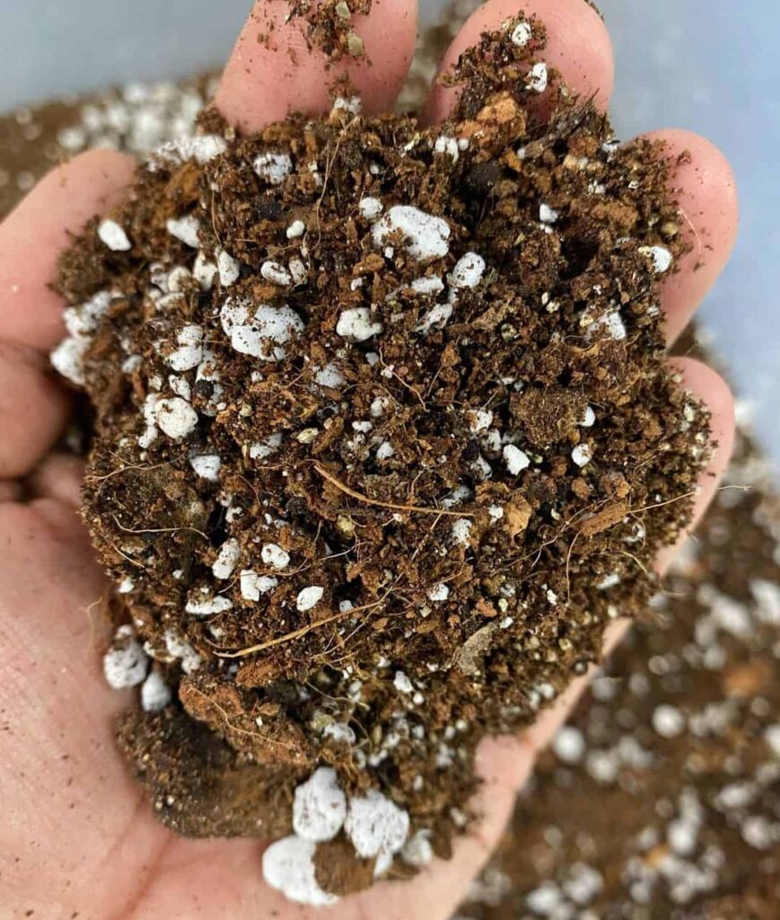 Should You Get Rid of Worm Castings on the Lawn? Maybe! (and how-to) 2 worm castings in soil mixes