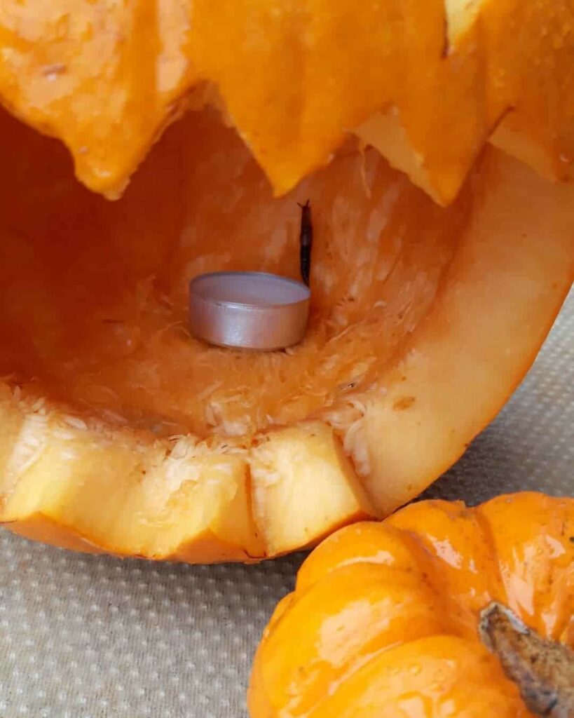 remove slug shelters