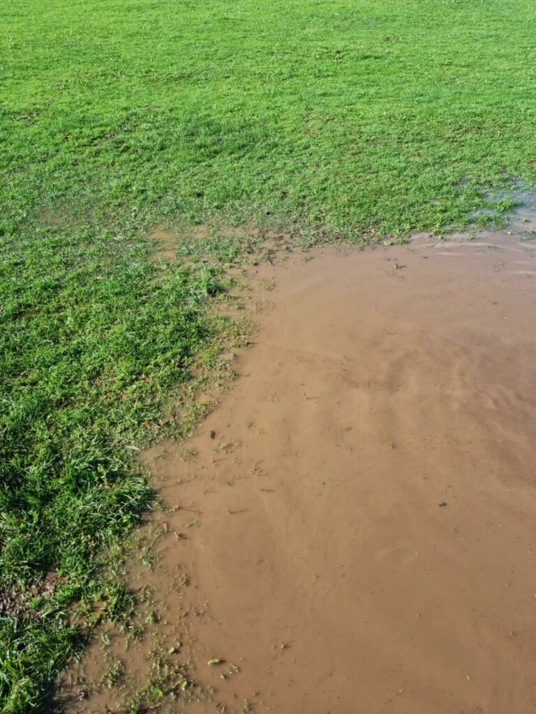 6 Ways to Improve Lawn Drainage and Fix Waterlogged Soil 2 waterlogged soil