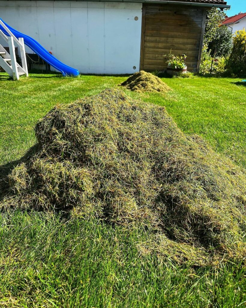 grass clippings and thatch
