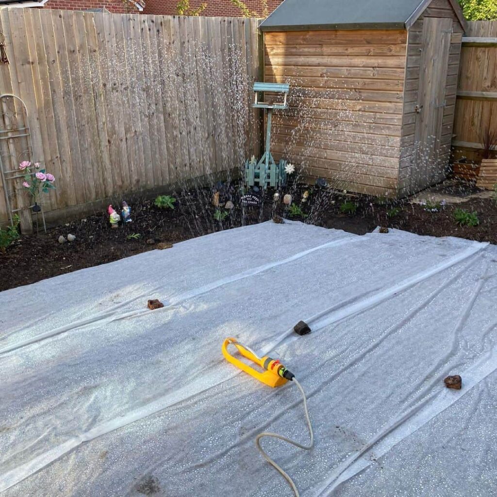 7 Ways to Stop Birds Eating Grass Seed & Protect Your Lawn 3 grass cover