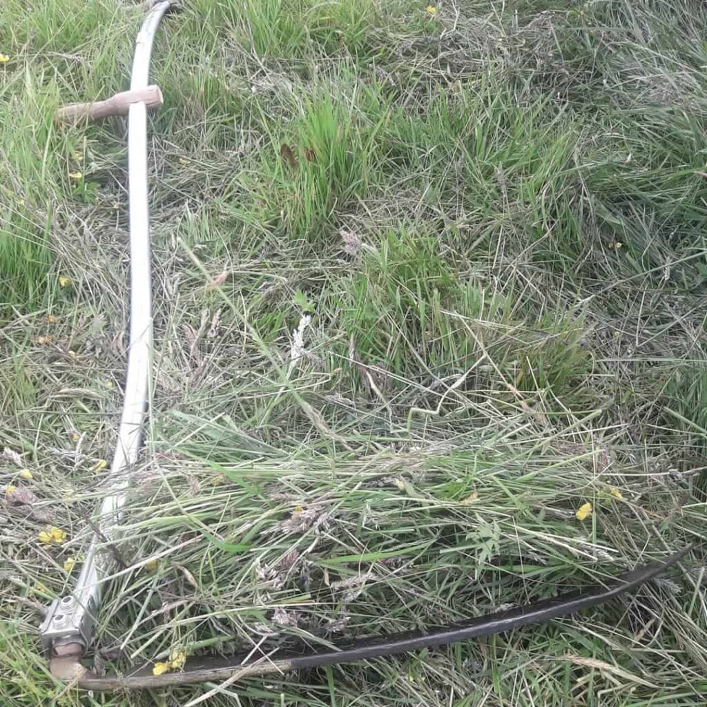 hand scythe wildflower cut
