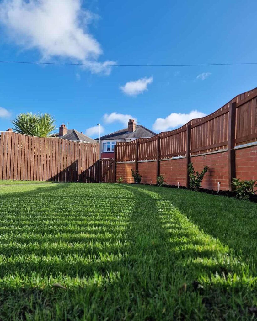 healthy lawn after fertilizing