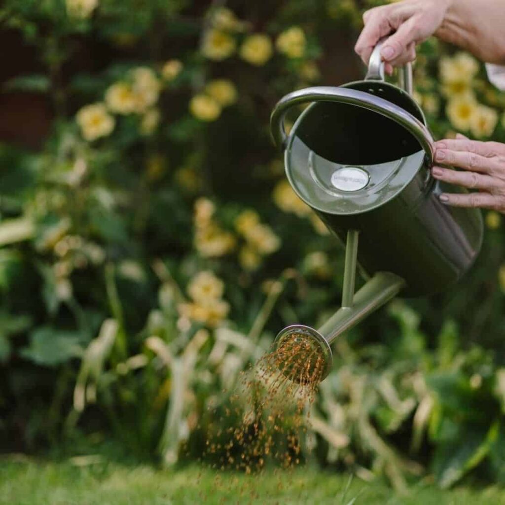 non organic lawn fertilizer