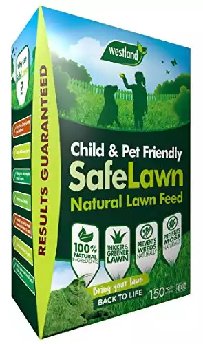 Westland SafeLawn Child and Pet Friendly Natural Lawn Feed 150 m2, Green, 5.25 kg