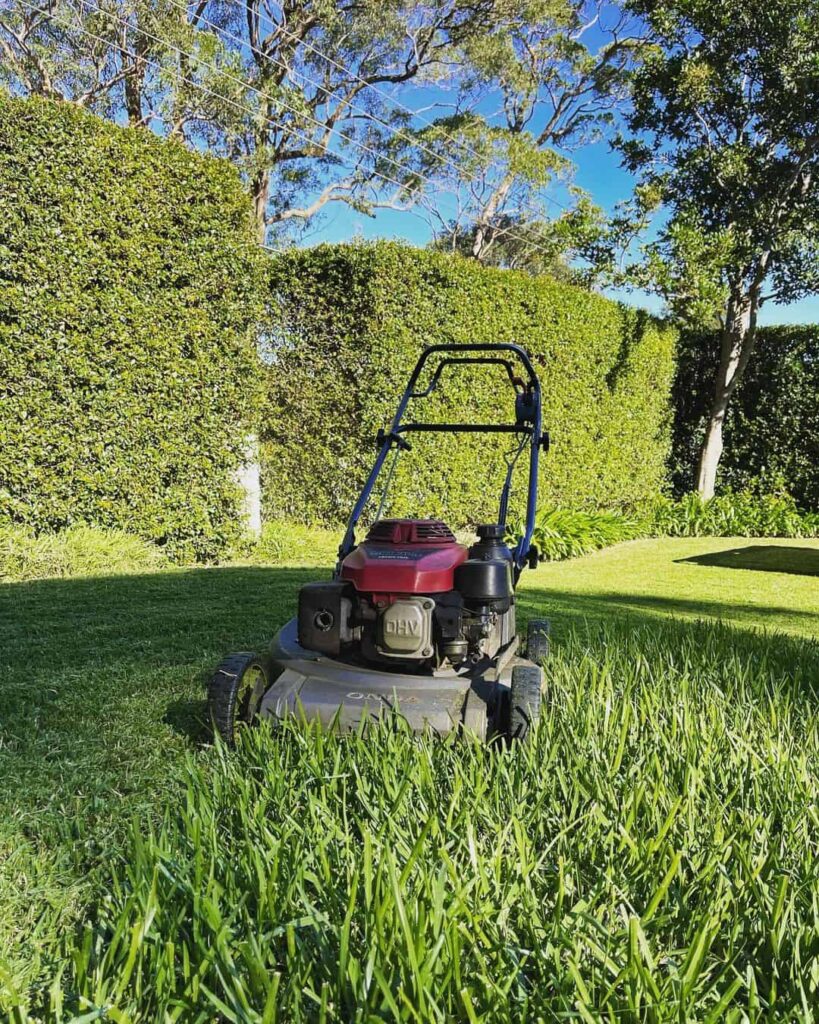 What Is the Best Time of Day to Cut Grass in UK? (When NOT to Mow) 1 best time of day to cut grass in uk