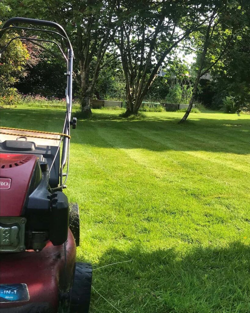 What Is the Best Time of Day to Cut Grass in UK? (When NOT to Mow) 3 best time of day to mow lawn in hot weather