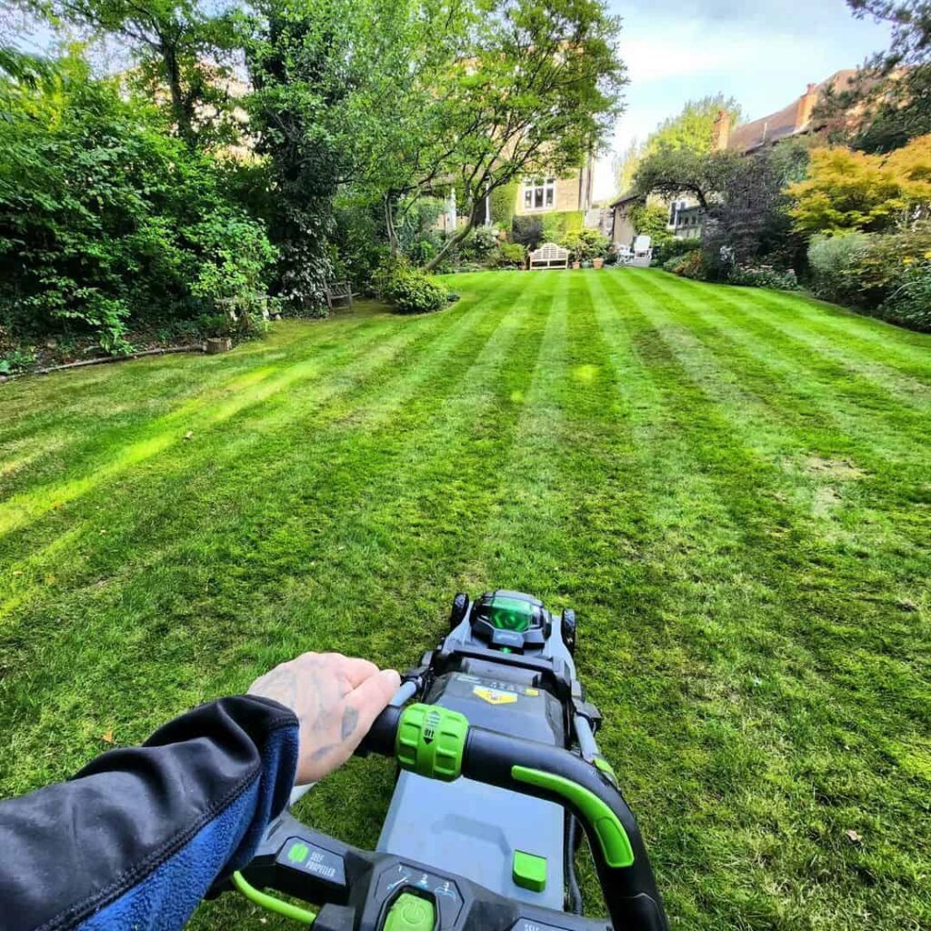 What Is the Best Time of Day to Cut Grass in UK? (When NOT to Mow) 2 best time of day to mow the lawn