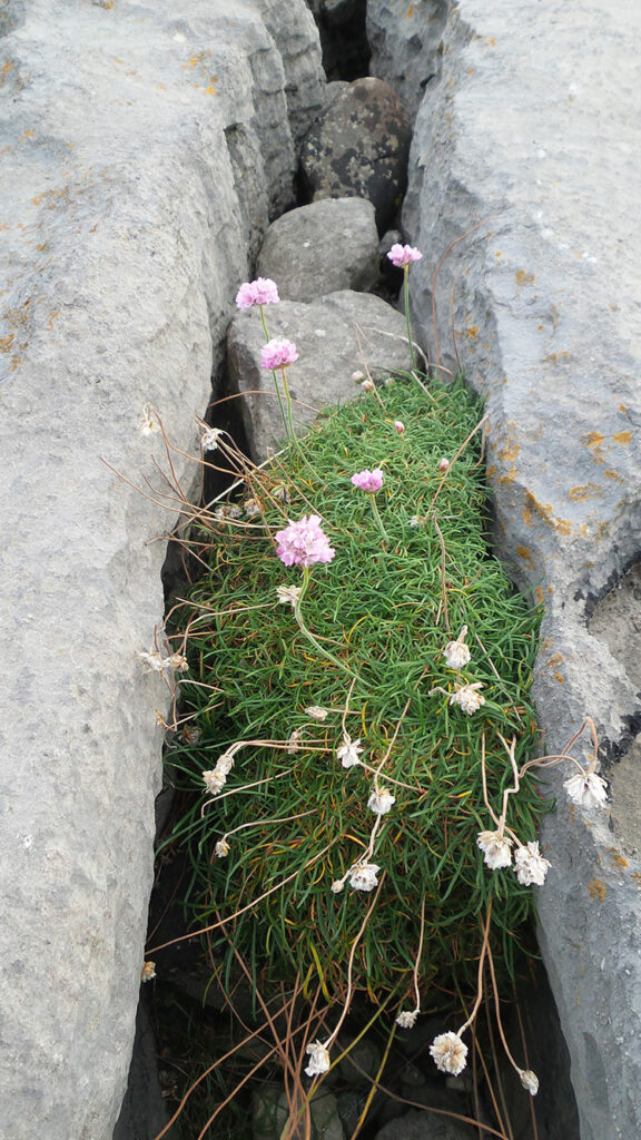 big-boulders-with-a-feature