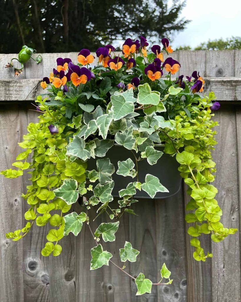 26 Privacy Fence Ideas to Keep Unwanted Eyes Away From Your Space 10 plants on top of an existing fence