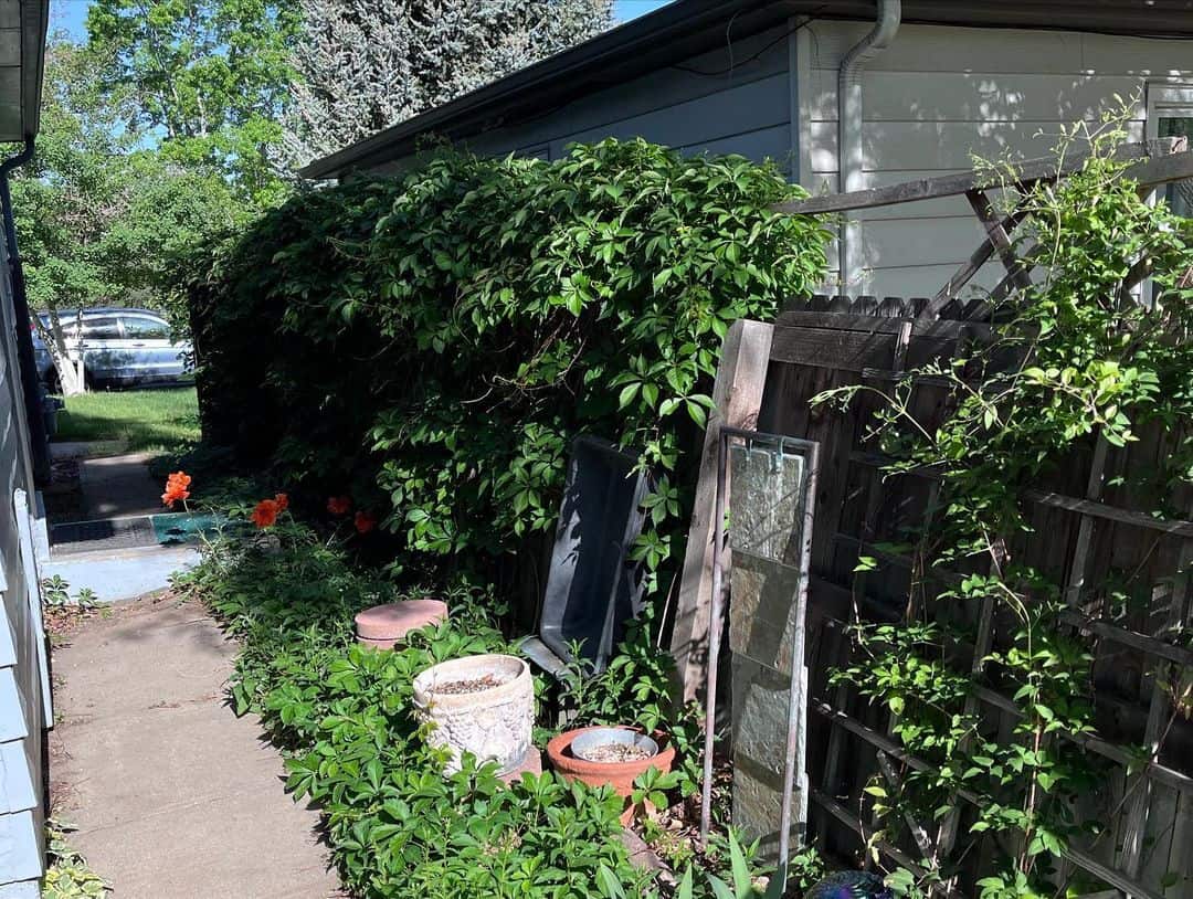 26 Privacy Fence Ideas to Keep Unwanted Eyes Away From Your Space 2 trellis pannels