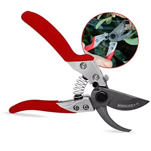 Kimura 8” Pro Bypass Garden Secateurs