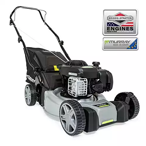 Murray EQ200 Petrol Lawn Mower