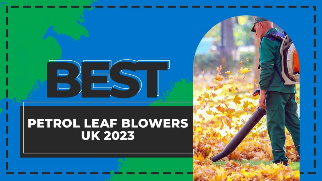 Best Petrol Leaf Blowers: for Every Garden Size and Budget 1 best petrol leaf blowers uk