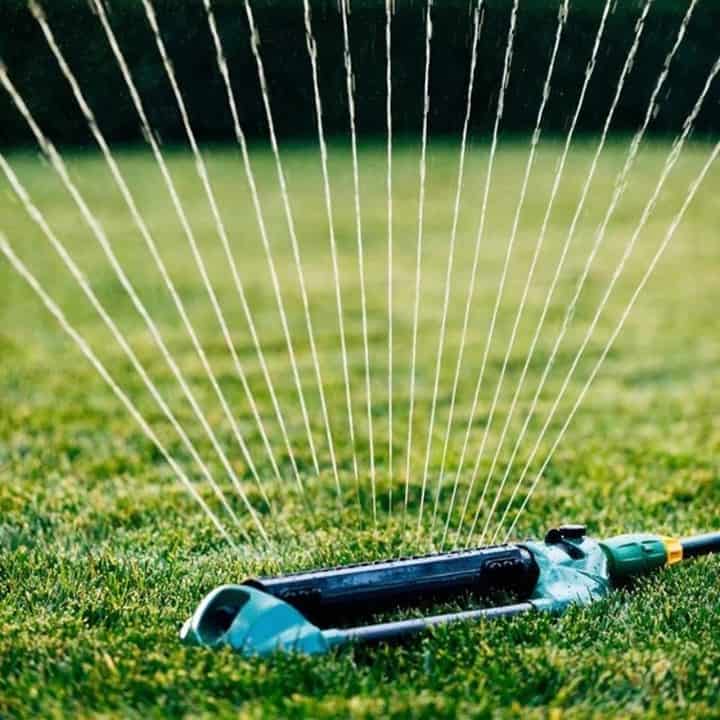 how long should you sprinkle your lawn