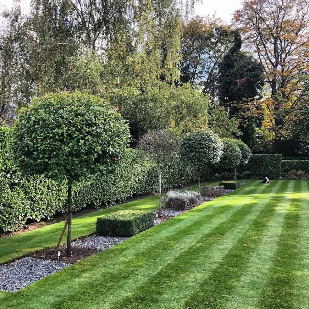 striped watered lawn