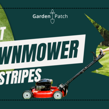 Lawn_Mower_For_Stripes