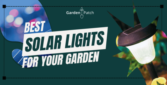 Best Solar Lights for The Perfect Garden Ambience 1