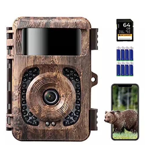 K&F Concept 4K Wildlife Camera