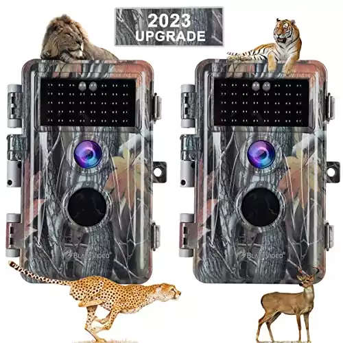 BlazeVideo A262 Trail Camera
