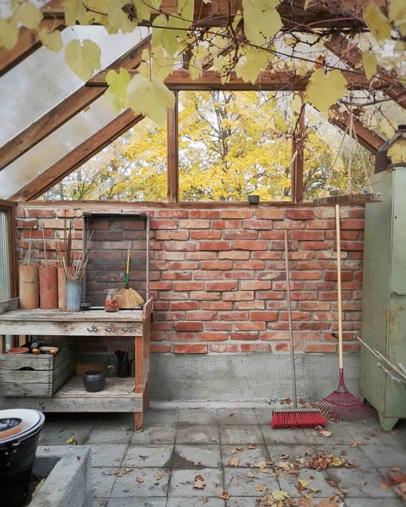 prepare greenhouse before winter