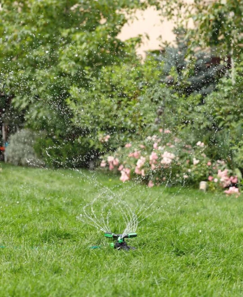 watering the lawn in june