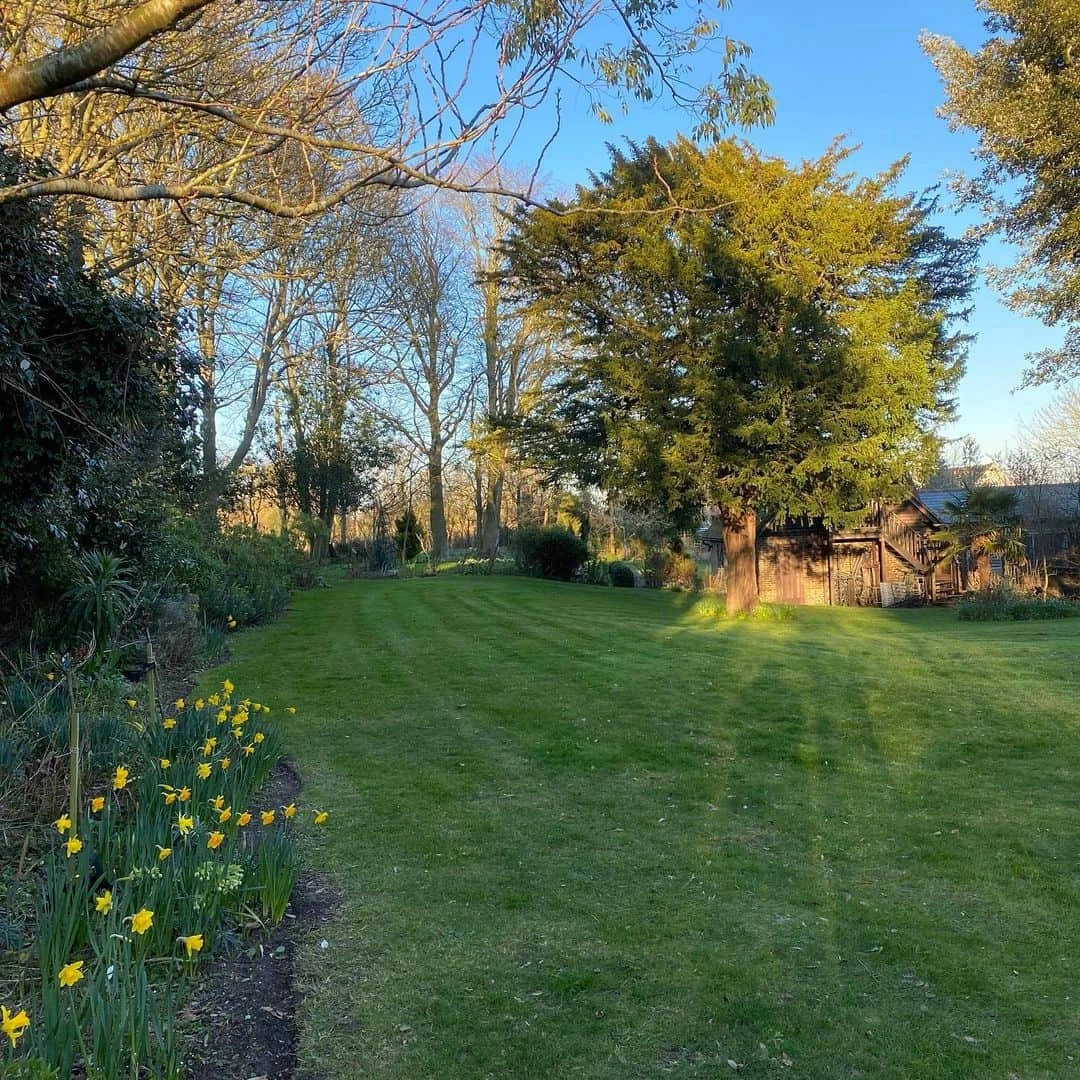 Lawn Care in March: Can You Mow, Feed or Scarify? (Where to Start) 1 Lawn Care in March: Can You Mow, Feed or Scarify? (Where to Start) 1